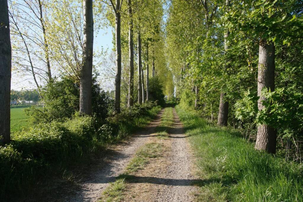 Vakantiewoning Het Olietunnetje Ovezande Екстер'єр фото
