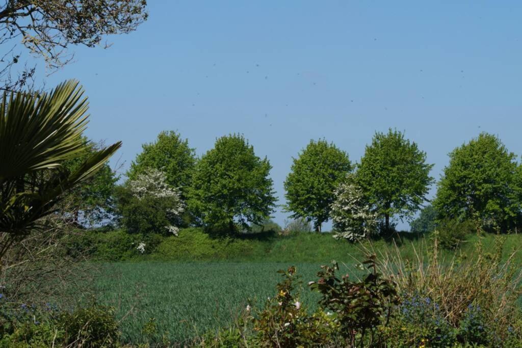 Vakantiewoning Het Olietunnetje Ovezande Екстер'єр фото